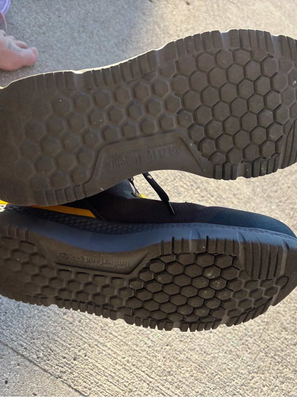 Timberlands - Picture 9 of 9